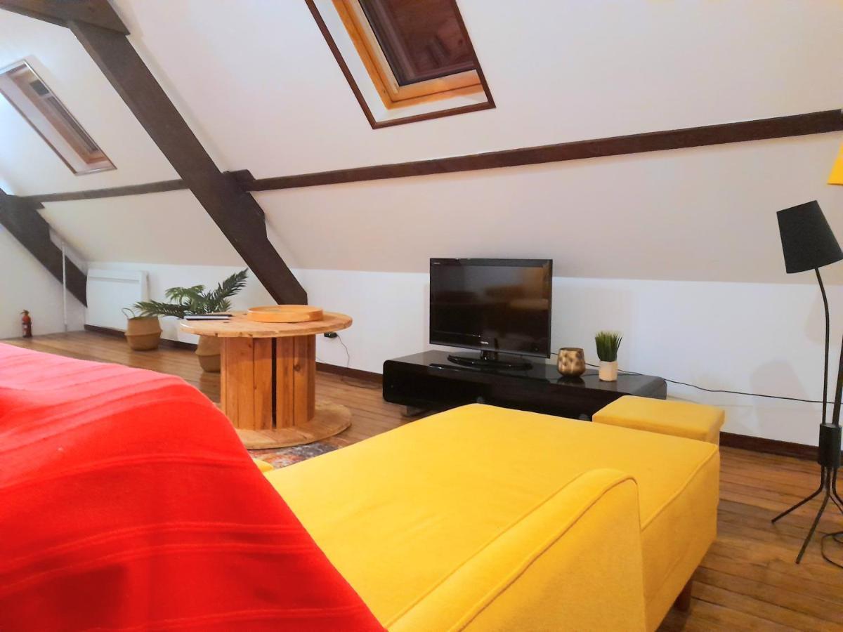 Le Nid D'Hirondelles - Appartement De Caractere Hypercentre Au Calme ブールジュ エクステリア 写真