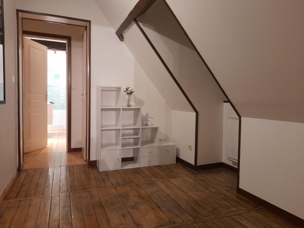 Le Nid D'Hirondelles - Appartement De Caractere Hypercentre Au Calme ブールジュ エクステリア 写真