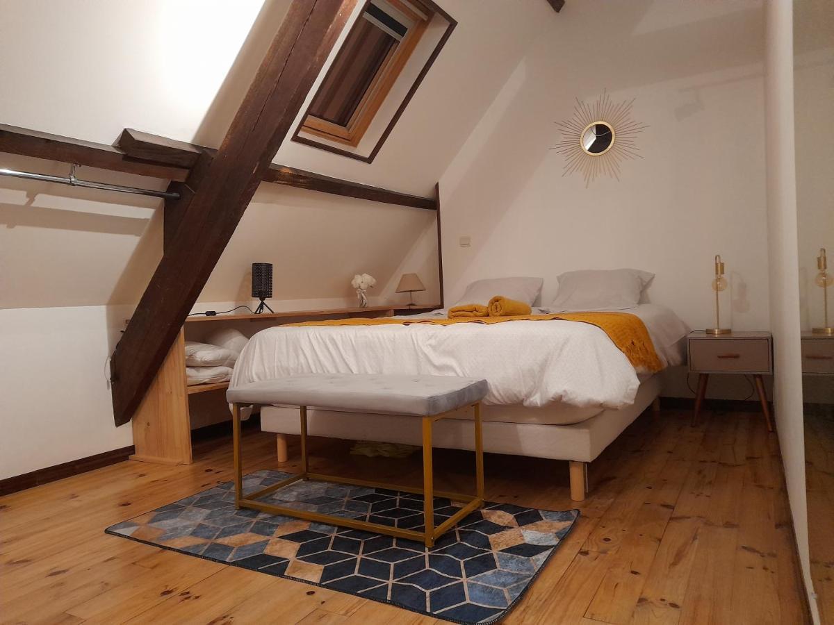 Le Nid D'Hirondelles - Appartement De Caractere Hypercentre Au Calme ブールジュ エクステリア 写真