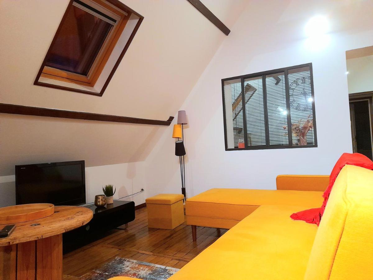 Le Nid D'Hirondelles - Appartement De Caractere Hypercentre Au Calme ブールジュ エクステリア 写真